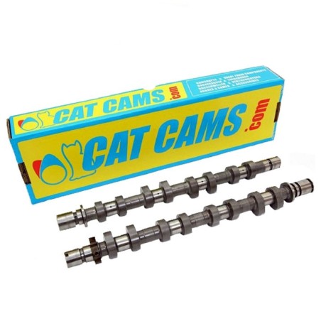 Lot de 2 arbres à cames 307°/298° CAT CAMS pour Peugeot 306 S16 163cv / Citroën Xsara VTS (moteur XU10J4RS)
