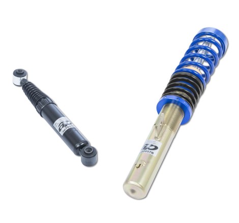 Combinés filetés AP Suspensions pour Peugeot 306 16V / S16 / ST / SLD / XSi