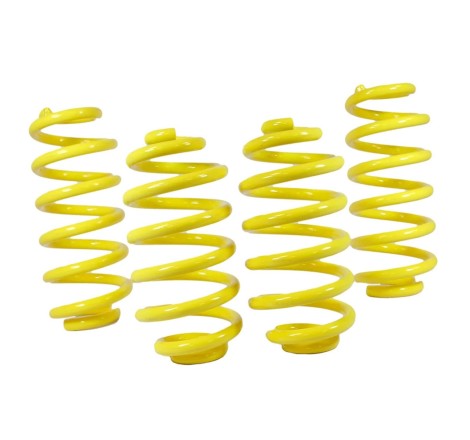 Ressorts courts 70-4010 APEX pour Peugeot 106 I Rallye 1.3