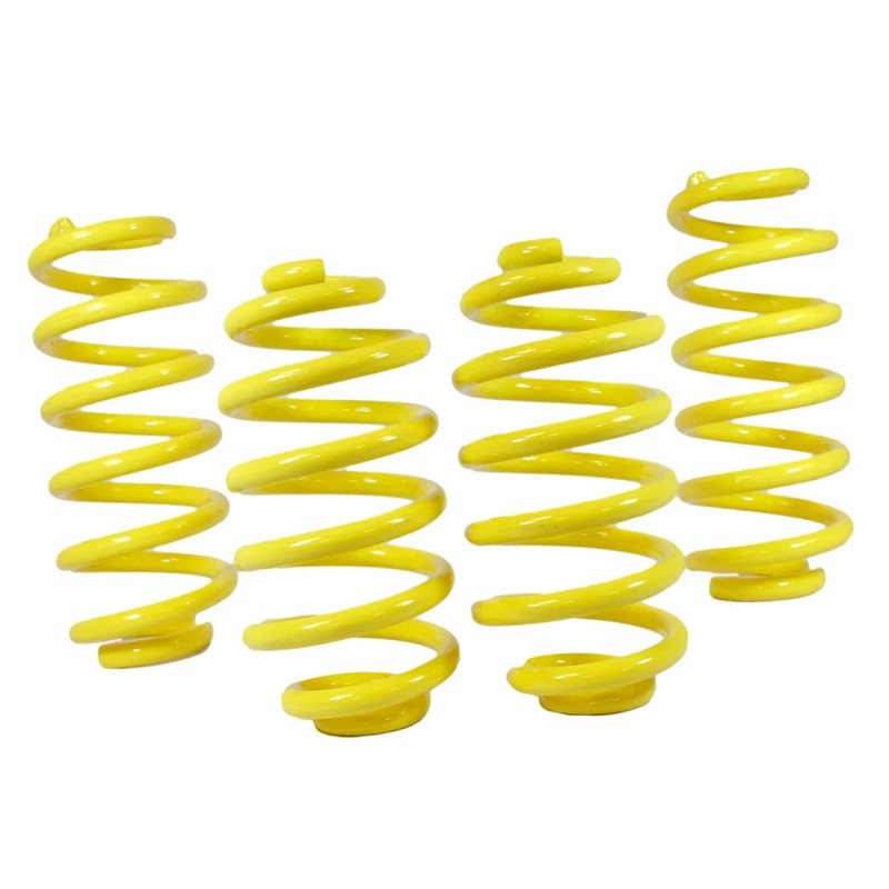 Ressorts courts 70-4010 APEX pour Peugeot 106 I Rallye 1.3