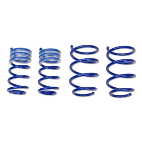 Ressorts courts Sport 30/30 AP Performance pour Peugeot 307 CC 2.0 16V
