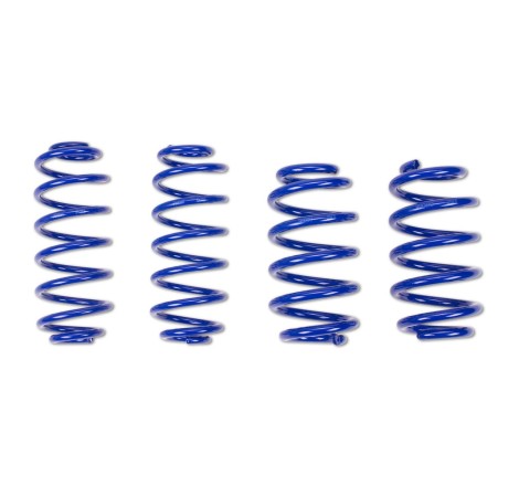 Ressorts courts Sport 30/30 AP Performance pour Peugeot 307 CC 2.0 16V