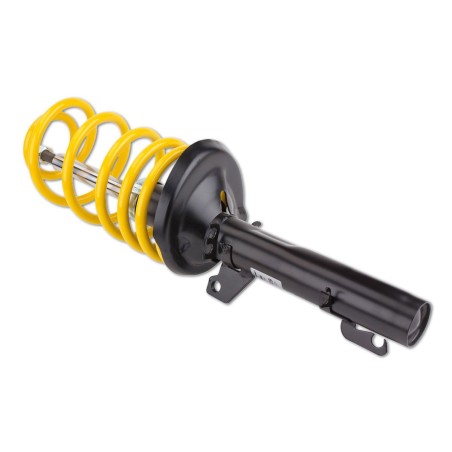 Suspensions Sport 30/30 ST pour Peugeot 307 CC 2.0 16V