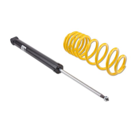 Suspensions Sport 30/30 ST pour Peugeot 307 CC 2.0 16V