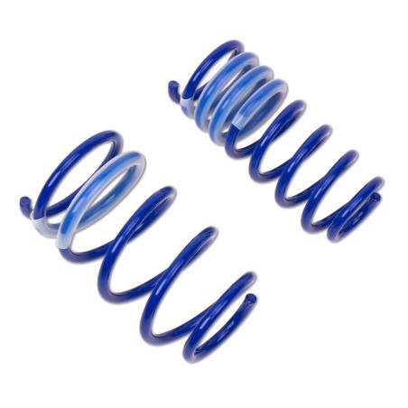 Ressorts courts Sport 30/30 AP Performance pour Renault Megane 2 CC 2.0 Turbo