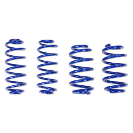 Ressorts courts Sport 30/30 AP Performance pour Renault Megane 2 CC 2.0 Turbo