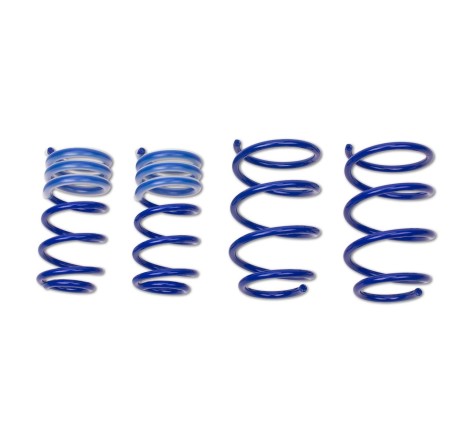 Ressorts courts Sport 30/30 AP Performance pour Renault Megane 2 CC 2.0 Turbo