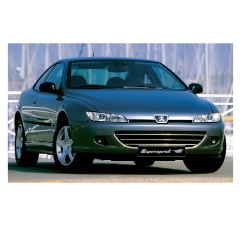Pack Sport "Cat.-Back" Supersprint pour Peugeot 406 Coupé V6 / 2.2 16V