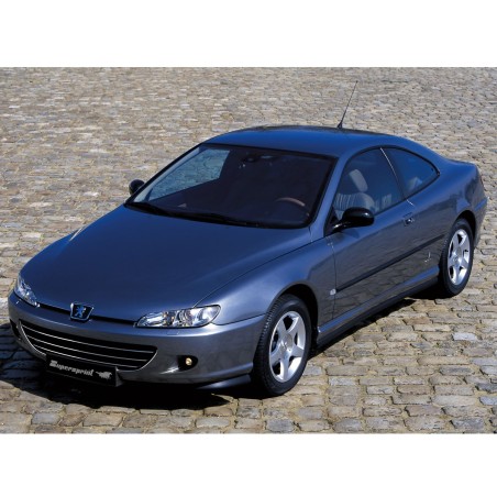 Pack Sport "Cat.-Back" Supersprint pour Peugeot 406 Coupé V6 / 2.2 16V