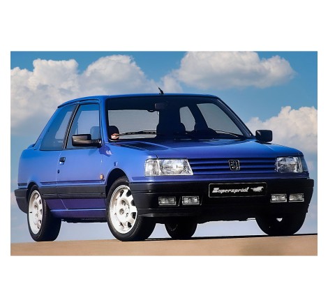Silencieux arrière Supersprint pour Peugeot 309 GTi 1.9 16v
