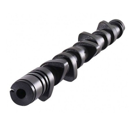 Arbre à cames 286° CAT CAMS pour Peugeot 206 XS / Citroën C2 VTS VTR / Saxo VTS (moteur TU5JP4)