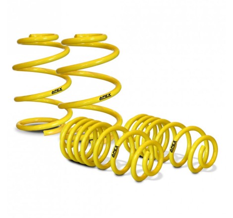 Ressorts courts 150-4010 APEX pour Renault Clio I 16V / Williams