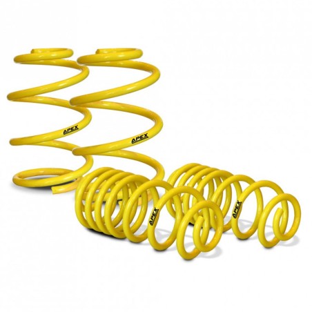 Ressorts courts 150-4010 APEX pour Renault Clio I 16V / Williams