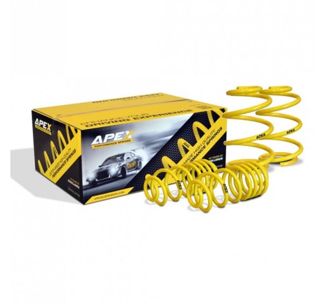Ressorts courts 150-4010 APEX pour Renault Clio I 16V / Williams