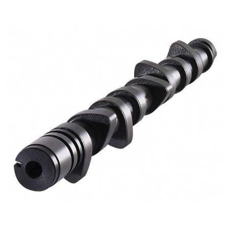Arbre à cames 298-290°/260-252° CAT CAMS pour Renault Clio I 16S / Williams / R19 16S (moteurs F7)