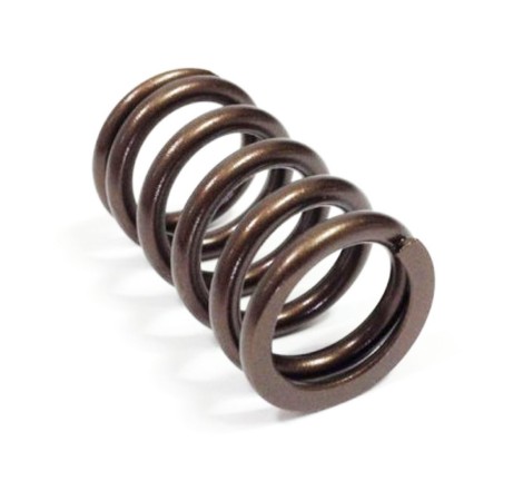 Ressort de soupape GOLD CAT CAMS pour Renault Clio I Williams