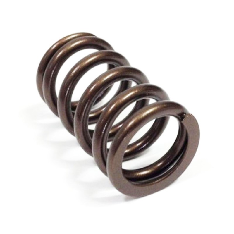 Ressort de soupape GOLD CAT CAMS pour Renault Clio I Williams
