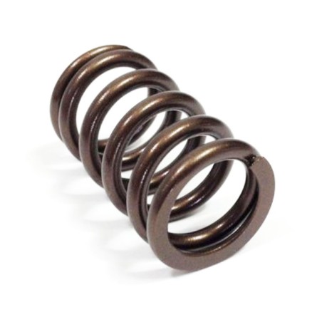 Ressort de soupape GOLD CAT CAMS pour Renault Clio I Williams