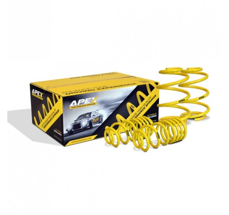 Ressorts courts 150-4250 APEX pour Renault Clio 3 RS 2.0 16V