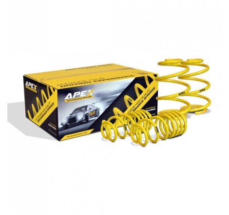 Ressorts courts 70-1050 APEX pour Peugeot 206 CC / RC / GTi 180 / S16 GTi