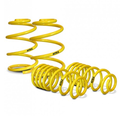 Ressorts courts 70-1060 APEX pour Peugeot 206 RC / GTi 180 / S16 GTi