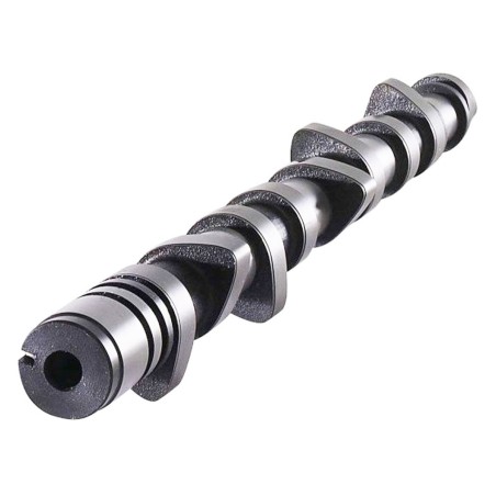 Arbre à cames 317°/317° CAT CAMS pour Citroën BX GTi 1.9 (moteur XU9J2)