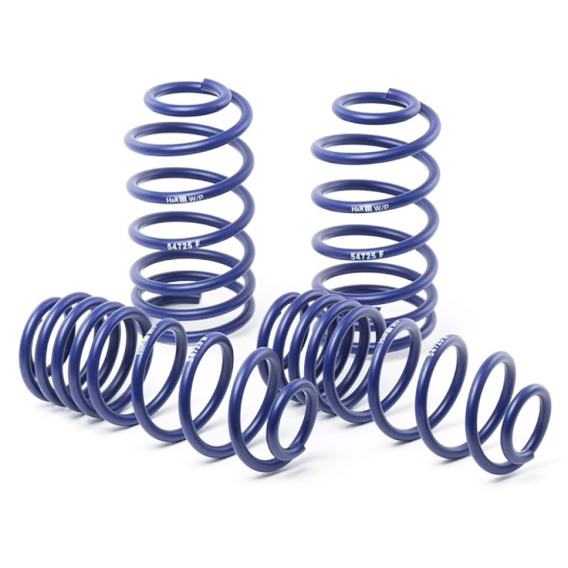 Ressorts courts 40/40 H&R pour Peugeot 205 GTi / Rallye / Gentry / CTI / XS / Turbo 16