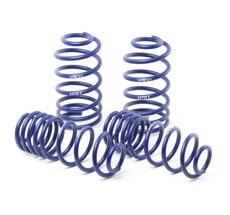 Ressorts courts 25/25 H&R pour Renault Megane 2 RS