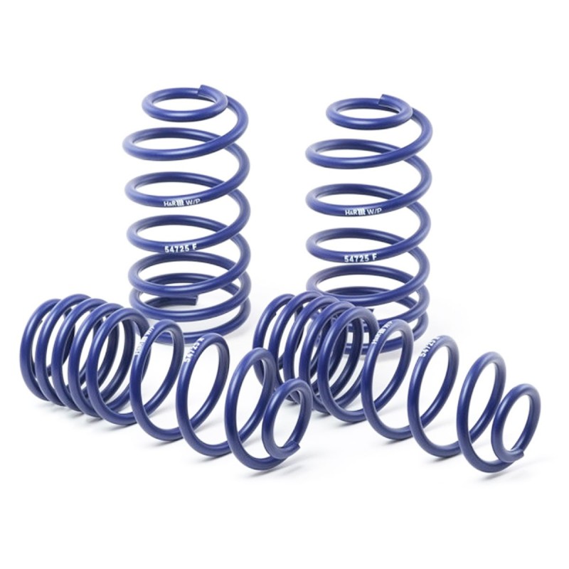 Ressorts courts 25/25 H&R pour Renault Megane 2 RS