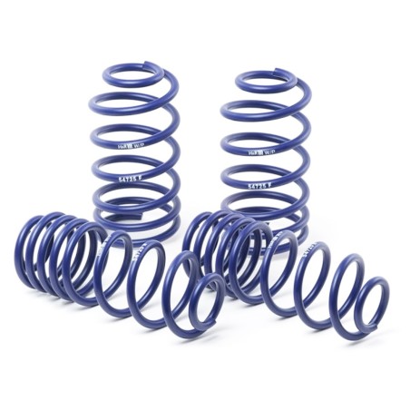 Ressorts courts 25/25 H&R pour Renault Megane 2 RS