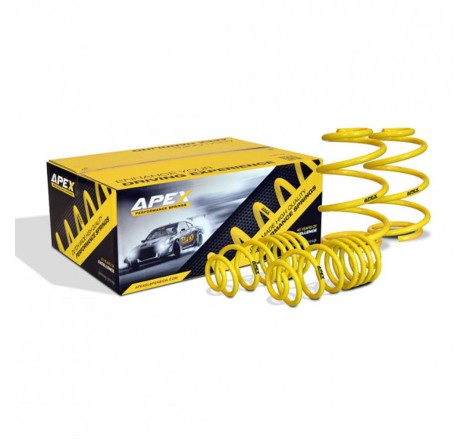 Ressorts courts 150-7260 APEX pour Renault Megane 2 CC 2.0 Turbo