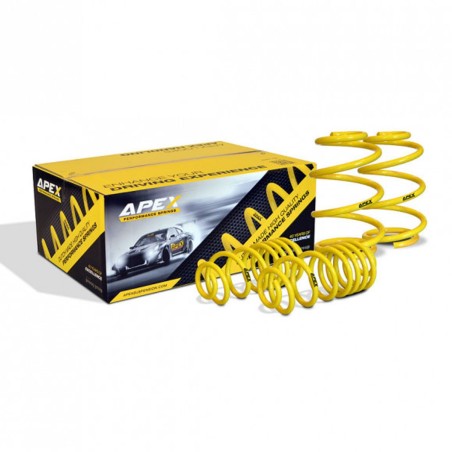 Ressorts courts 150-7260 APEX pour Renault Megane 2 CC 2.0 Turbo