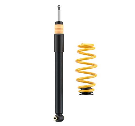 Combinés filetés ST Suspensions ST X pour Peugeot 205 GTi / CJ / CT / CTi / XA / Rallye / GTX / TD / XDT / 309 XL / GTi / D / T