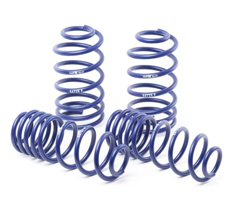 Ressorts courts 35/35 H&R pour Renault Megane 3 RS / TCe
