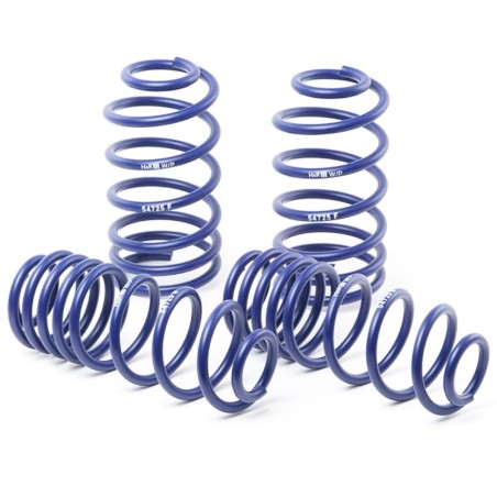Ressorts courts 35/35 H&R pour Renault Megane 3 RS / TCe