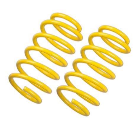 Ressorts courts Sport ST Suspensions pour Peugeot 206 CC / S16 / HDi