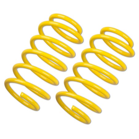 Ressorts courts Sport ST Suspensions pour Peugeot 206 CC / S16 / HDi