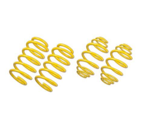 Ressorts courts Sport ST Suspensions pour Peugeot 207 RC / Turbo / VTi / 16V
