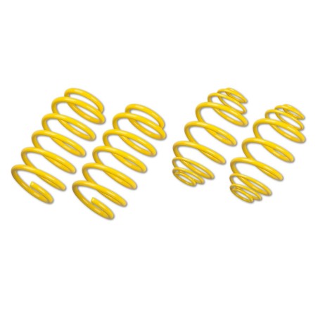 Ressorts courts Sport ST Suspensions pour Peugeot 207 RC / Turbo / VTi / 16V