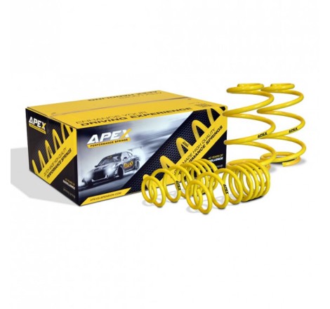 Ressorts courts 70-6010 APEX pour Peugeot 306 S16 150/152cv / XSi