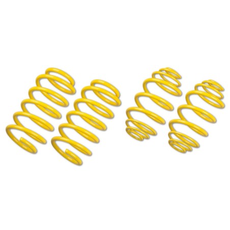 Ressorts courts Sport 40/40 ST Suspensions pour Peugeot 208 GTi