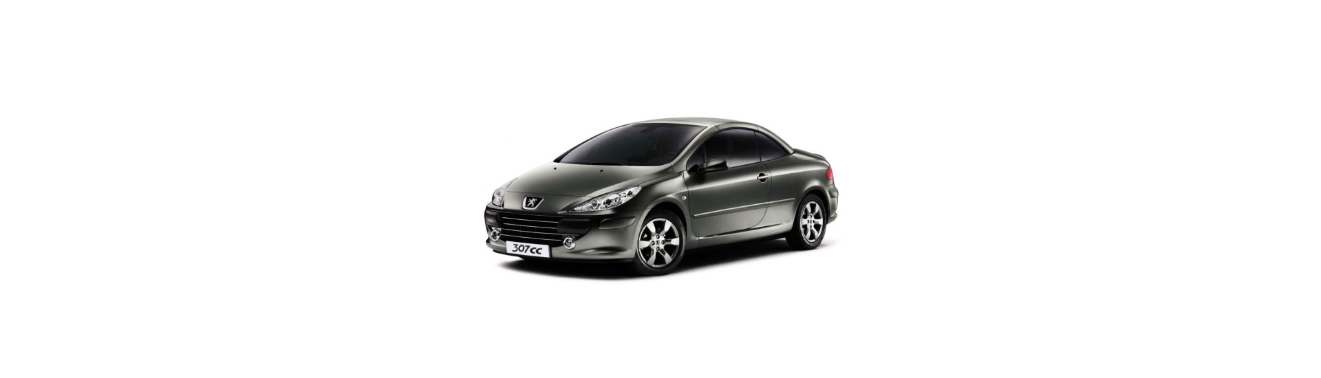 307 CC / Féline