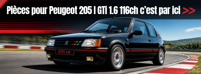 Peugeot 205 I GTi 1.6 116cv