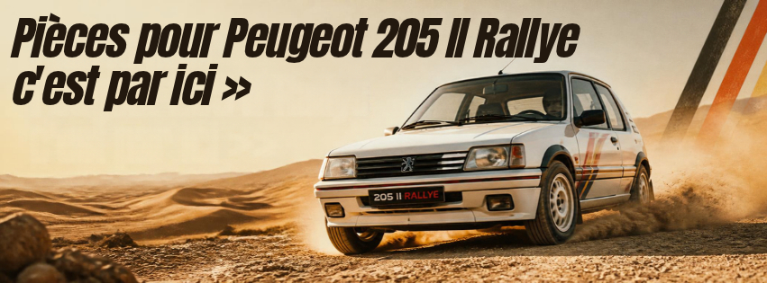 Peugeot 205 II Rallye